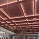 Taśma LED COLORS COB-24V-IP20 9,6 W 970 lm 3000 K 5 m (DRF10-24V-8mm-V1-WW) zdjęcie 2