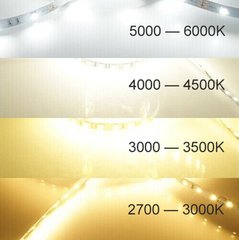 Світлодіодна LED стрічка PROLUM™ 12V; 2835\120; IP20; Series "SG", Нейтральний-Білий (3800-4300K) фото