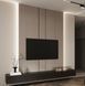 LED Strip COLORS 192-2835-24V-IP20 18.9W 2810Lm 6000K 5m (D8192-24V-15mm-W) photo 2