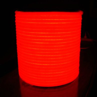 PROLUM™ LED neon Round D15, IP68, 220V, Series "RN", Red, PRO.