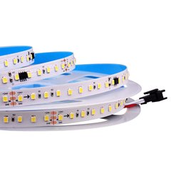 Світлодіодна LED стрічка PROLUM™ RUN 24V; 2835\120; IP20; Series "SMART", Білий (5500-6000К) фото