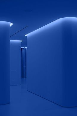 Світлодіодна стрічка COLORS 168-3838-24V-IP33 15.7W RGB 5м (DA168RGB-24V-10mm) фото