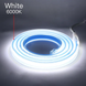 LED strip PROLUM™ 220V; OWL; 280 LEDs; IP68; 12 mm; Series "S", White (5500-6000K) photo 18